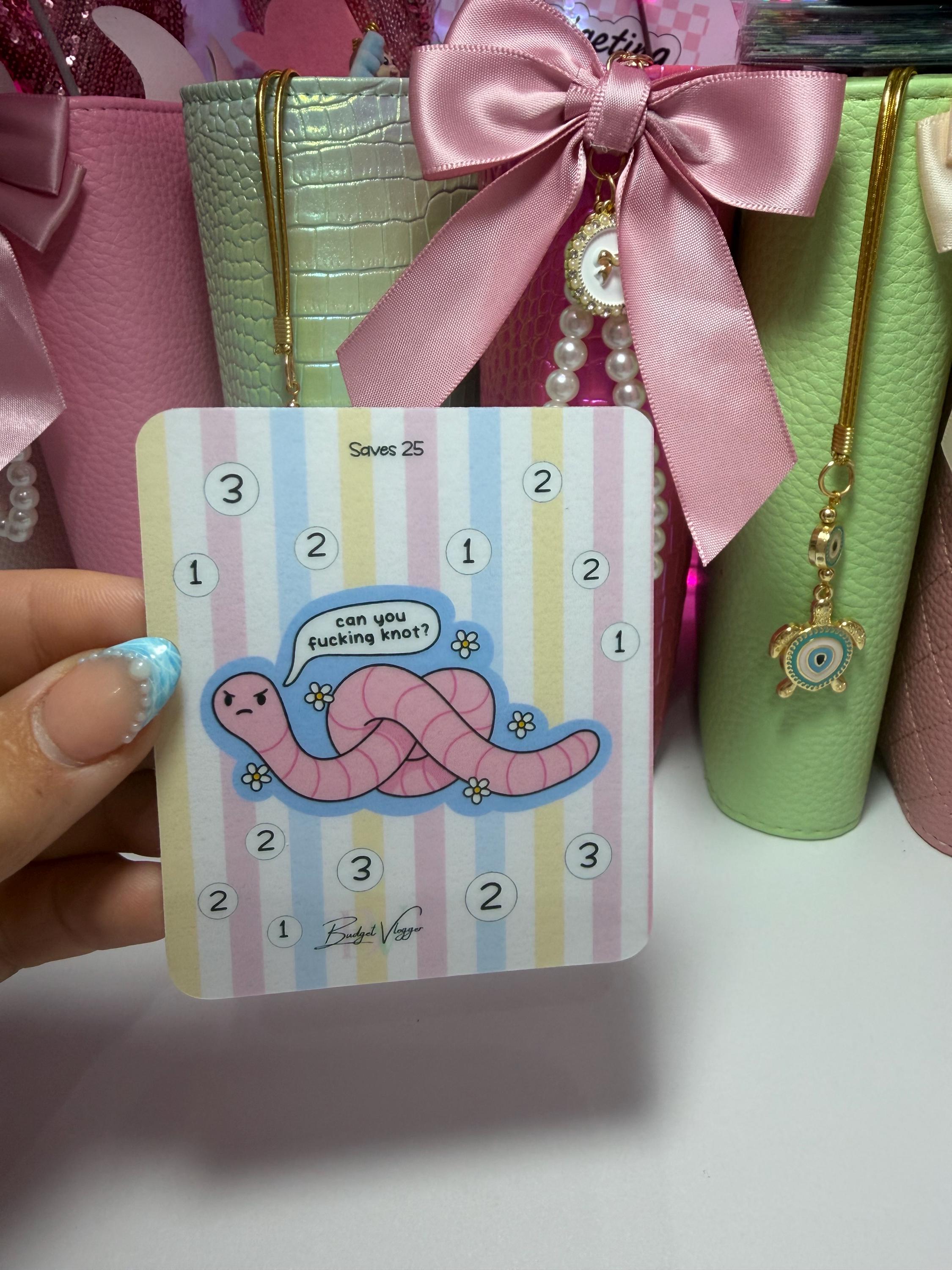 Cute but unhinged Minis cash stuffing budget tracker