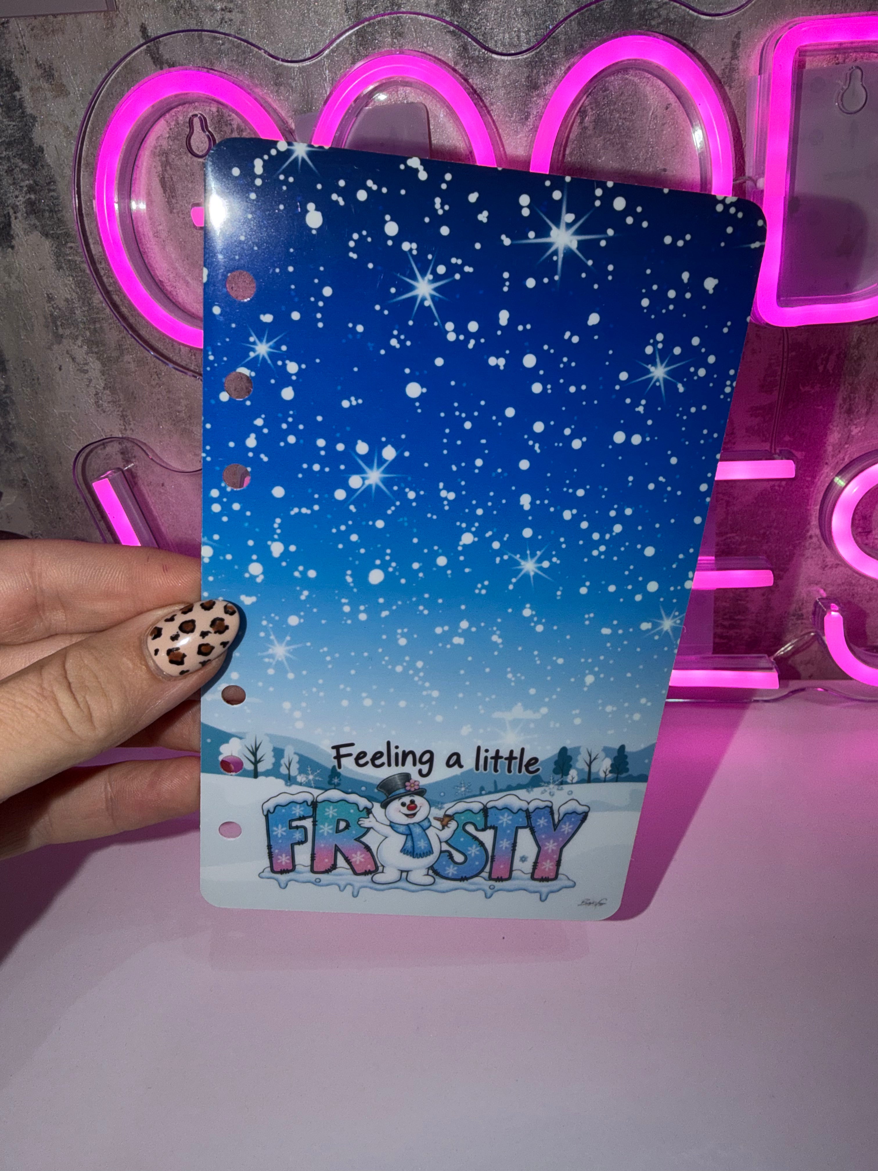 Feeling a little frosty  - A6 Cash Stuffing Dashboard