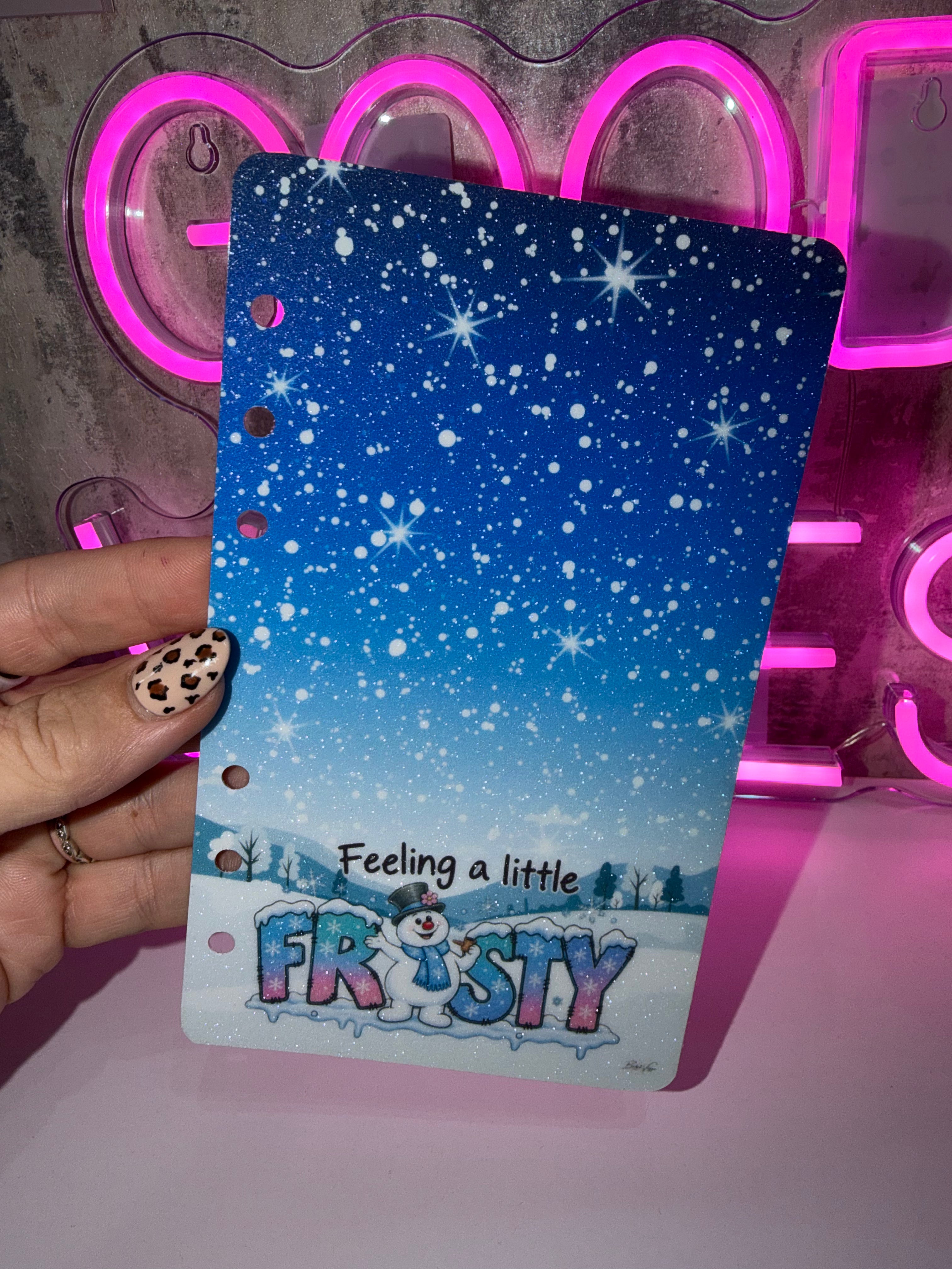 Feeling a little frosty  - A6 Cash Stuffing Dashboard