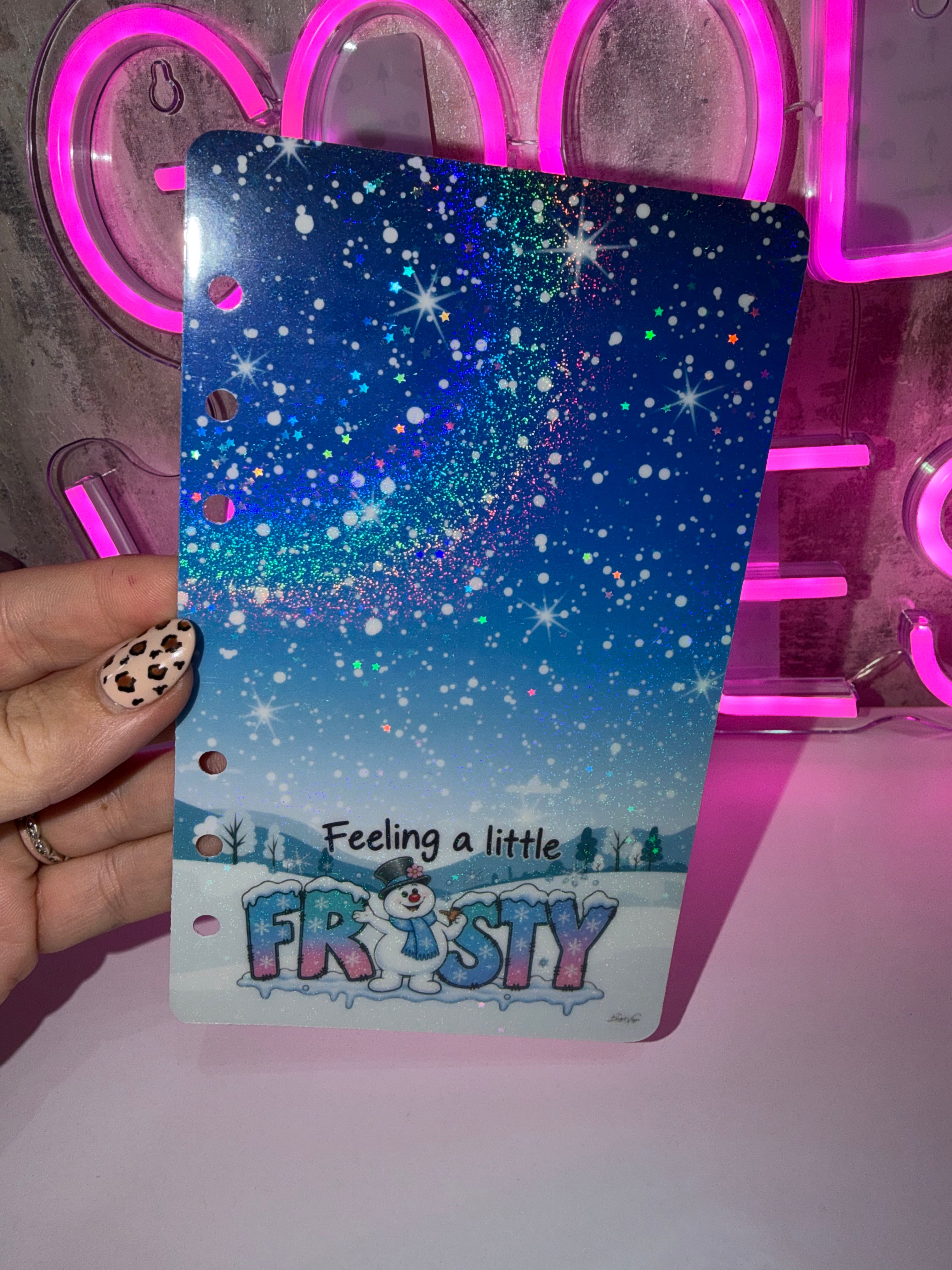 Feeling a little frosty  - A6 Cash Stuffing Dashboard